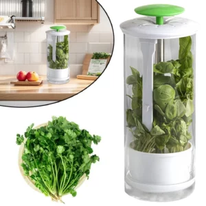 Conteneur de stockage d'herbes domestique, Transparent et hermétique, vert persil, organisateur d...