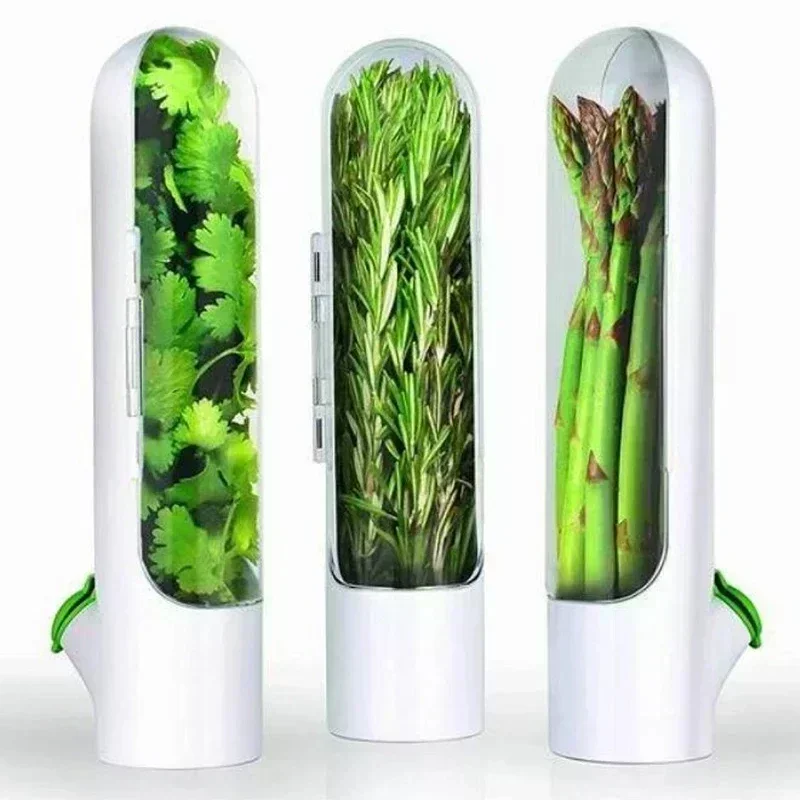 Économiseur d'herbes pour réfrigérateur, bouteille de conservation des légumes, dosette de conser... – Image 2