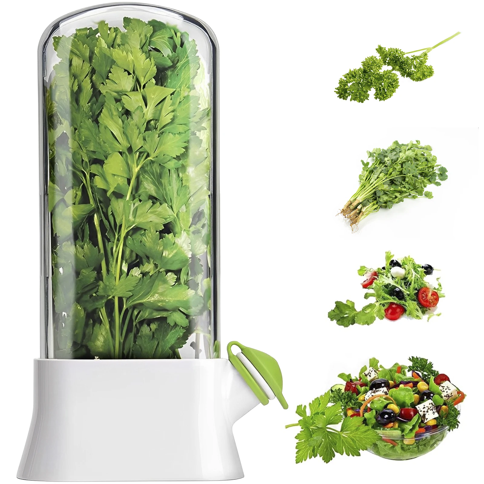 Économiseur d'herbes pour réfrigérateur, bouteille de conservation des légumes, dosette de conser...